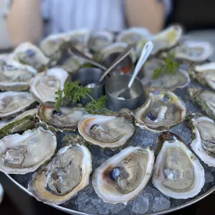 A dozen each of gulf + east coast oysters