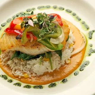 Green River Seabass