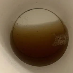 Dirt in cup
