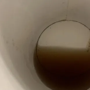 Dirt in cup