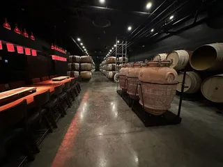 The Cave
