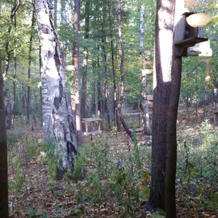 Window seat has awesome view.