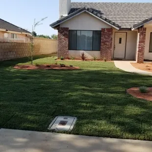 the front yard of a house