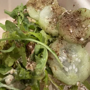 Hummus toast - with old ass cucumbers and arugula. Disappointing.