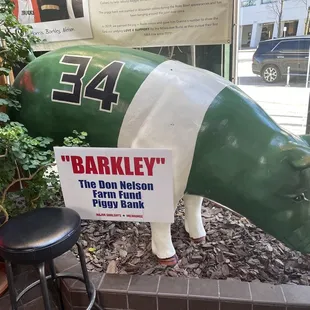 Barkley the pig!