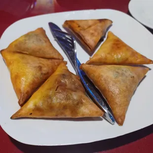 Samosa sampler
