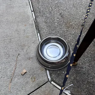 Dog friendly water dish
