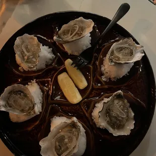 Ok oysters.