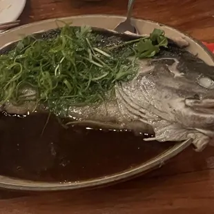 Black Cod