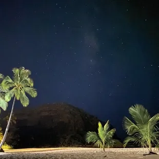 Evening palm trees beneath the stars and Mauna Lahilahi