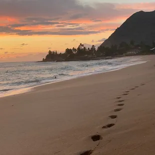 Sunset footsteps- Long walks along the beach at sunset