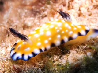 Kahe Point Beach Park