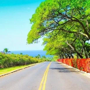 view from condo drive to Makaha Beach