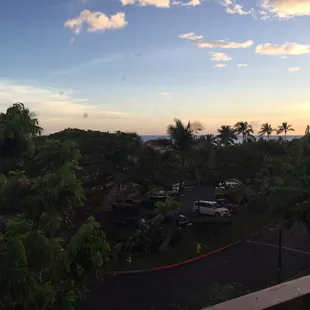 Looking out the window