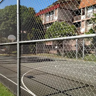 Basketball court