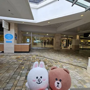 This is the entrance from the shopping mall