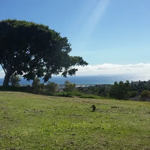 The wonderful view