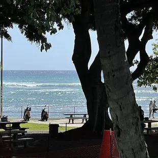 Surf&apos;s up!