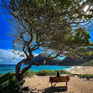 500 days of Hawaii