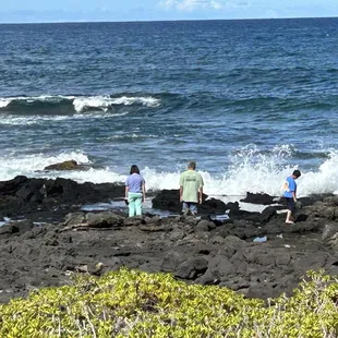 Looking for crabs