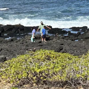 Looking for crabs