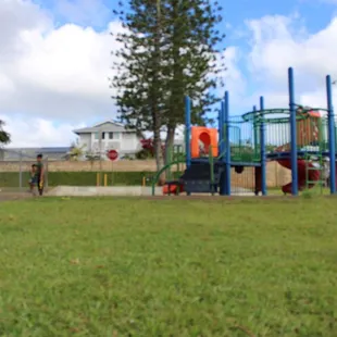 Burning off their energy