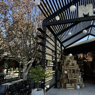 Holiday decor 11.21.24