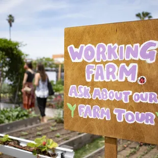 We host farm tours during Cafe hours! Our ingredients are sourced from our urban garden and local farmers