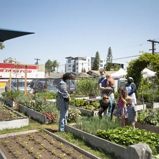 We host farm tours during Cafe hours! Our ingredients are sourced from our urban garden and local farmers