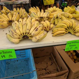 Apple bananas