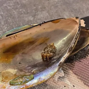 Crab in the baked muscle