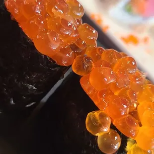 Tiny, but you can totally taste Nemo!!