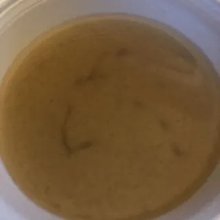 Miso Soup