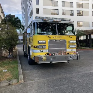 I spy the makiki squad parked to go to market!!