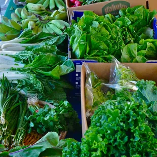Just some of the greens among the variety of LOCAL produce available!