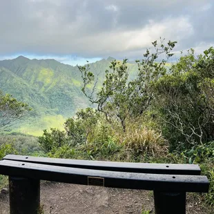 Bench where you can relax!