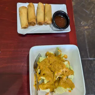 Veggie spring rolls and ginger salad