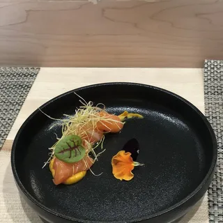 Salmon