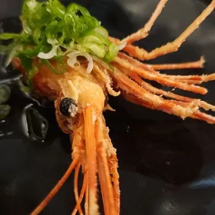 Fried Amiebi head (w/premium)