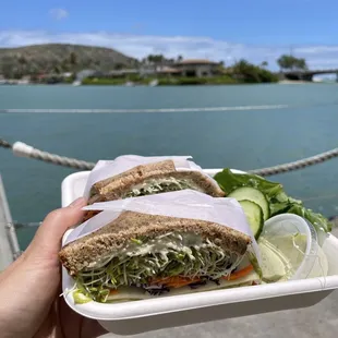 Turkey avocado sandwich with salad