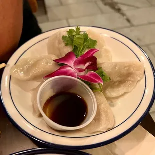 Veggie Dumplings (Steamed)