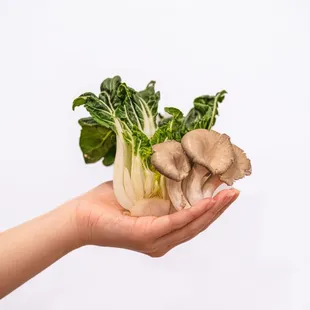 food, ramen and noodles