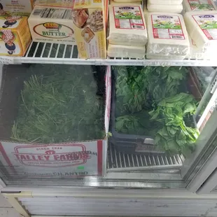 Fresh cilantro and mint. Butter and paneer.