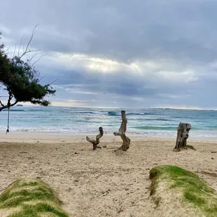 Early morning surf session, beach to ourselves!