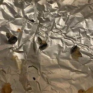 Screws found in my curry