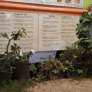 a wall with a menu and plants