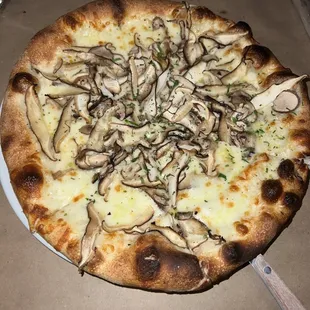 Pizza Funghi Misti (~$19)