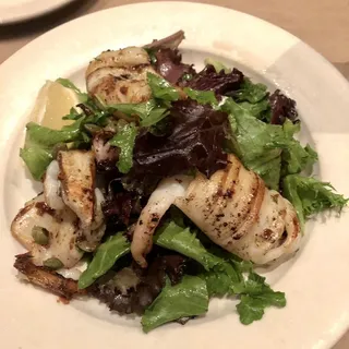 Calamari alla Piastra