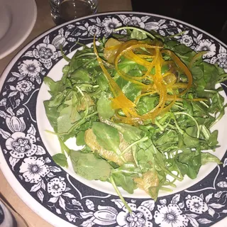 Rucola e Agrumi Insalate