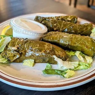 Veggie Grape leaves